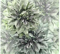 Komar Fototapet vlies INX6-036 Emerald Flowers 300x280 cm (INX6-036)