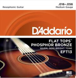 D'Addario EFT13 - kytary