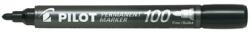 Pilot Set 12 markere permanente Pilot P100 diverse culori 2-4.5 mm varf rotund negru (PSCA-100-B-P)