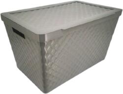 HEIDRUN Diamond Tároló doboz 51L 56x36x32cm tetővel (927)