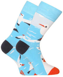 Dedoles Happy Socks Dedoles Sirály (D-U-SC-RS-C-C-1459) L