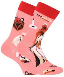Dedoles Happy Socks Dedoles Yorkshire Terrier (GMRS215) L