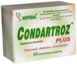 Hofigal - Condartroz Plus Hofigal 60 comprimate 700 mg - vitaplus