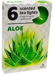 ADMIT Lumânări tip pastilă Aloe, 6 bucăți - Admit Scented Tea Light Aloe