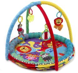 Playgro Активна гимнастика Playgro - Забавление с включени 32 цветни топки (PG.0603)