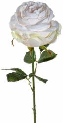 Leonardo POESIA rózsa 67cm, krém (LEO-018687)