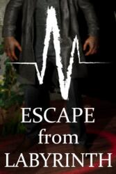 Dexied Games Escape from Labyrinth (PC)