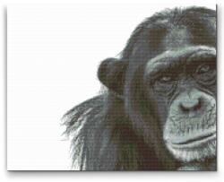 Gyémántszemes festmény - Csimpánz Méret: 40x50cm, Keretezés: Műanyagtáblával, Gyémántok: Négyzet alakú