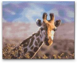 Gyémántszemes festmény - Szafaris zsiráf Méret: 40x50cm, Keretezés: Fatáblával, Gyémántok: Négyzet alakú