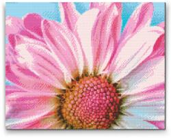  Gyémántszemes festmény - Szelíd rózsaszín virág Méret: 30x40cm, Keretezés: Keret nélkül (csak a vászon), Gyémántok: Négyzet alakú