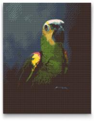  Gyémántszemes festmény - Amazon-papagáj Méret: 40x50cm, Keretezés: Fatáblával, Gyémántok: Négyzet alakú