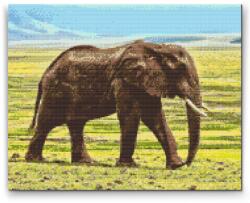 Gyémántszemes festmény - Szafari elefánt Méret: 30x40cm, Keretezés: Kartonlemezen, Gyémántok: Kerek