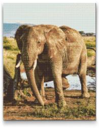 Gyémántszemes festmény - Safari - elefánt Méret: 40x50cm, Keretezés: Fatáblával, Gyémántok: Négyzet alakú
