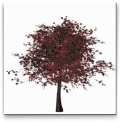 Gyémántszemes festmény - Piros fa Méret: 50x50cm, Keretezés: Fatáblával, Gyémántok: Kerek