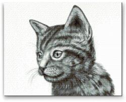 Gyémántszemes festmény - Cuki fekete-fehér cirmos cica Méret: 30x40cm, Keretezés: Keret nélkül (csak a vászon), Gyémántok: Négyzet alakú
