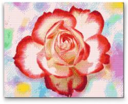 Gyémántszemes festmény - Rózsa színes háttérrel Méret: 40x50cm, Keretezés: Műanyagtáblával, Gyémántok: Négyzet alakú