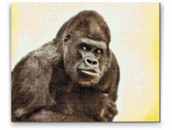 Gyémántszemes festmény - Gorilla Méret: 30x40cm, Keretezés: Kartonlemezen, Gyémántok: Négyzet alakú