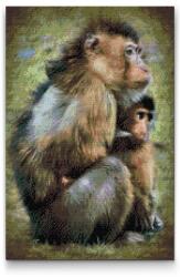  Gyémántszemes kirakó - Etetési idő Méret: 30x40cm, Keretezés: Keret nélkül (csak a vászon), Gyémántok: Kerek