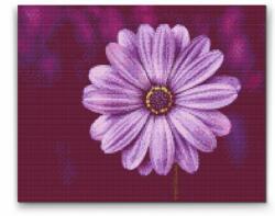 Gyémántszemes festmény - Lila gerbera Méret: 30x40cm, Keretezés: Kartonlemezen, Gyémántok: Kerek