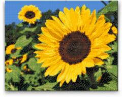  Gyémántszemes festmény - Napraforgó Méret: 30x40cm, Keretezés: Kartonlemezen, Gyémántok: Négyzet alakú