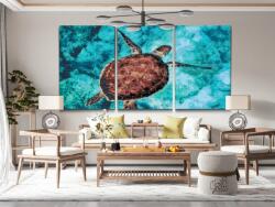  Gyémántszemes festmény - Tengeri teknős (3 db-os készlet) Méret: 40x60cm (3db), Keretezés: Keret nélkül (csak a vászon), Gyémántok: Kerek
