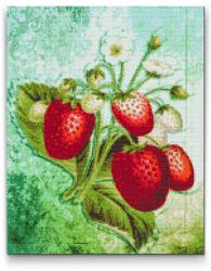 Gyémántszemes festmény - Eperszezon Méret: 30x40cm, Keretezés: Keret nélkül (csak a vászon), Gyémántok: Négyzet alakú
