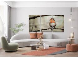 Gyémántszemes festmény - Vörösbegy (3 db-os készlet) Méret: 40x60cm (3db), Keretezés: Műanyagtáblával, Gyémántok: Négyzet alakú