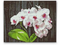  Gyémántszemes festmény - Fehér orchidea Méret: 30x40cm, Keretezés: Keret nélkül (csak a vászon), Gyémántok: Kerek