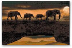 Gyémántszemes festmény - Elefántos kaland Méret: 40x60cm, Keretezés: Keret nélkül (csak a vászon), Gyémántok: Kerek