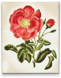  Gyémántszemes festmény - Vintage rózsa Méret: 40x50cm, Keretezés: Fatáblával, Gyémántok: Négyzet alakú