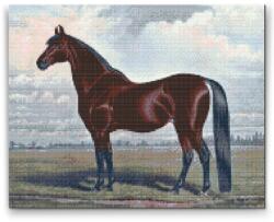Gyémántszemes festmény - Mesés ló Méret: 30x40cm, Keretezés: Műanyagtáblával, Gyémántok: Kerek