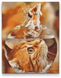 Gyémántszemes festmény - Aranyhal macska szemszögéből Méret: 40x50cm, Keretezés: Műanyagtáblával, Gyémántok: Négyzet alakú