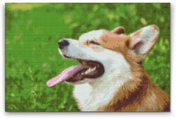  Gyémántszemes kirakó - Corgi Méret: 40x60cm, Keretezés: Kartonlemezen, Gyémántok: Négyzet alakú