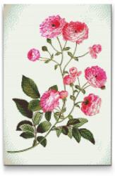Gyémántszemes festmény - Vintage virágok 2 Méret: 40x60cm, Keretezés: Keret nélkül (csak a vászon), Gyémántok: Négyzet alakú