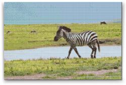  Gyémántszemes festmény - Serengeti Nemzeti Park 2 Méret: 40x60cm, Keretezés: Fatáblával, Gyémántok: Kerek