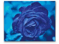  Gyémántszemes festmény - Kék rózsa Méret: 40x50cm, Keretezés: Műanyagtáblával, Gyémántok: Kerek