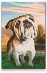 Gyémántszemes festmény - Angol bulldog a kertben Méret: 40x60cm, Keretezés: Kartonlemezen, Gyémántok: Kerek