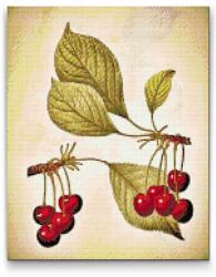 Gyémántszemes festmény - Vintage cseresznyék Méret: 30x40cm, Keretezés: Keret nélkül (csak a vászon), Gyémántok: Kerek
