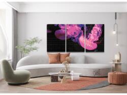  Gyémántszemes festmény - Rózsaszín medúza (3 db-os készlet) Méret: 30x40cm (3db), Keretezés: Kartonlemezen, Gyémántok: Kerek