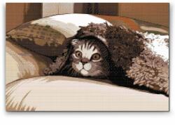  Gyémántszemes festmény - Cica párna alatt Méret: 40x60cm, Keretezés: Keret nélkül (csak a vászon), Gyémántok: Kerek