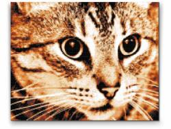 Gyémántszemes festmény - Tigris macska Méret: 30x40cm, Keretezés: Fatáblával, Gyémántok: Kerek