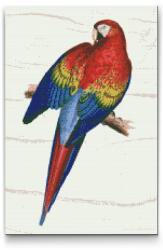  Gyémántszemes festmény - Vintage papagáj 2 Méret: 40x60cm, Keretezés: Keret nélkül (csak a vászon), Gyémántok: Kerek