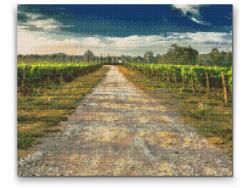  Gyémántszemes festmény - Toszkánai szőlőültetvény Méret: 30x40cm, Keretezés: Műanyagtáblával, Gyémántok: Kerek