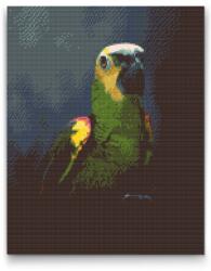 Gyémántszemes festmény - Amazon-papagáj Méret: 40x50cm, Keretezés: Műanyagtáblával, Gyémántok: Kerek