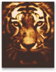  Gyémántszemes festmény - Megvilágított tigris Méret: 40x50cm, Keretezés: Műanyagtáblával, Gyémántok: Kerek