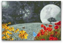  Gyémántszemes festmény - Mezőn Méret: 40x60cm, Keretezés: Műanyagtáblával, Gyémántok: Négyzet alakú