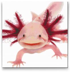 Gyémántszemes festmény - Axolotl 3 Méret: 50x50cm, Keretezés: Műanyagtáblával, Gyémántok: Kerek