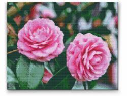  Gyémántszemes festmény - Rózsaszín kamélia Méret: 40x50cm, Keretezés: Keret nélkül (csak a vászon), Gyémántok: Kerek