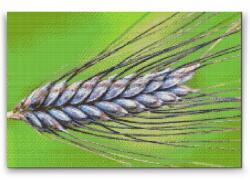  Gyémántszemes festmény - Gabona Méret: 40x60cm, Keretezés: Műanyagtáblával, Gyémántok: Négyzet alakú
