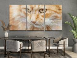  Gyémántszemes festmény - Vadászó macska (3 db-os készlet) Méret: 30x40cm (3db), Keretezés: Műanyagtáblával, Gyémántok: Négyzet alakú